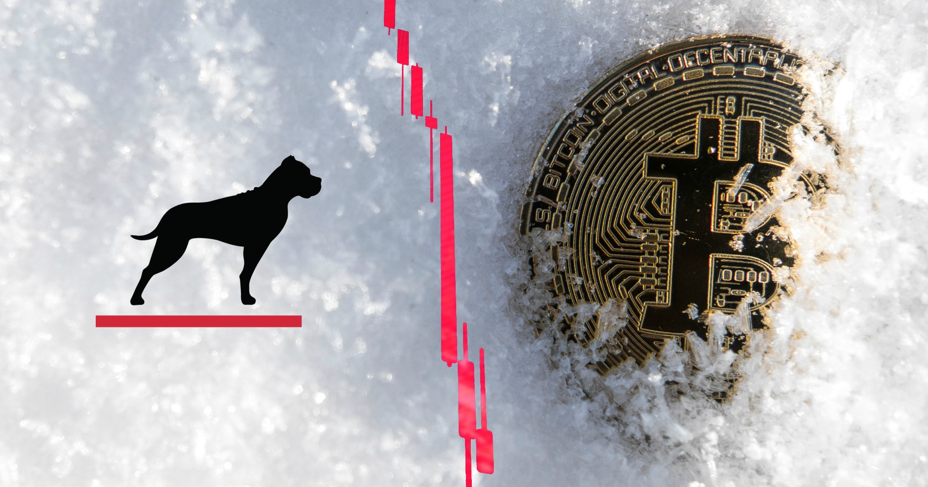 GP Bullhound spår en kryptovinter med nedgångar på 90 procent.
