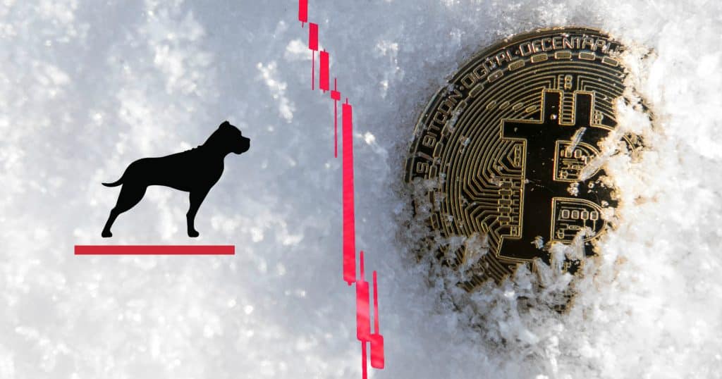 GP Bullhound predicts a 90 percent correction downwards of the crypto market.