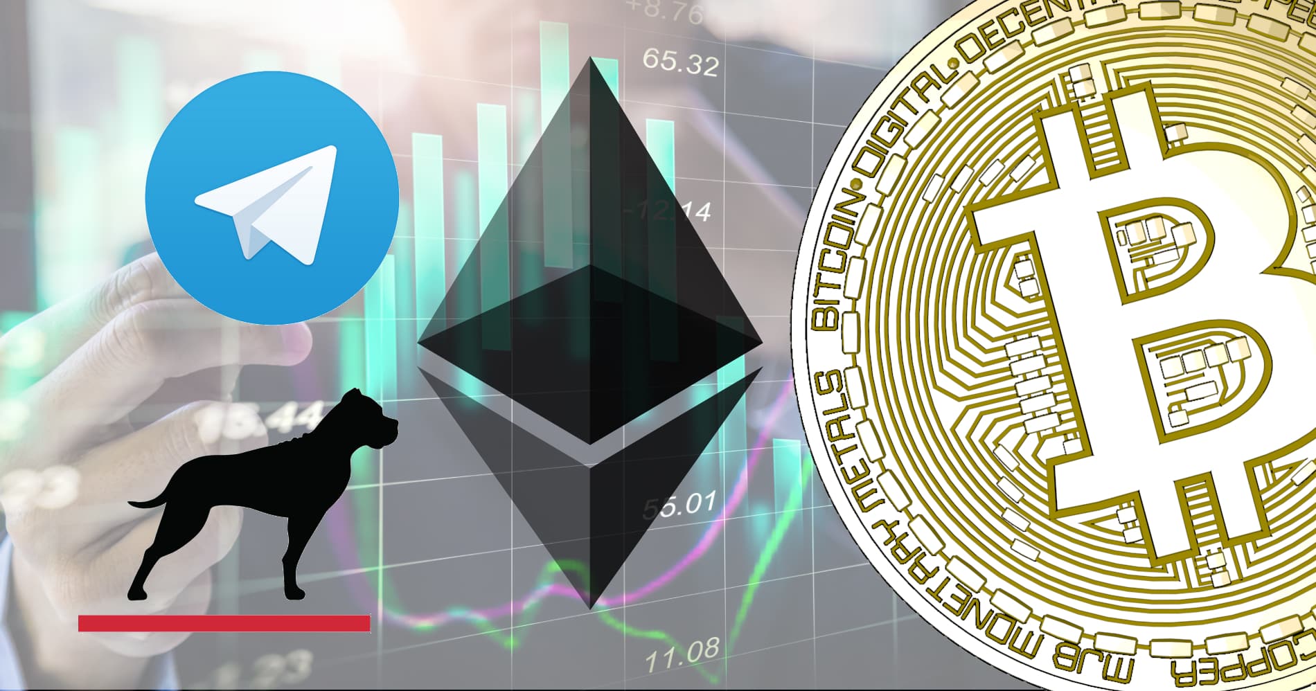 Världens kryptokurser fortsätter uppåt.