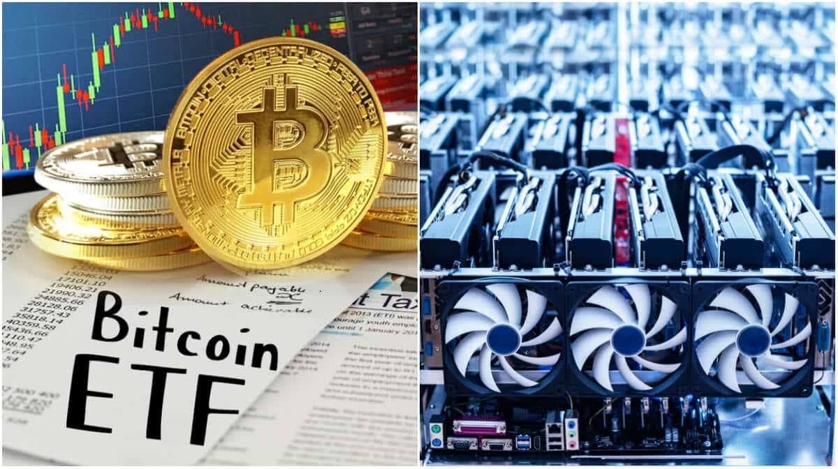 Kryptodygnet: Ansökningar om bitcoin-ETF:er avslås och största valutorna sjunker.