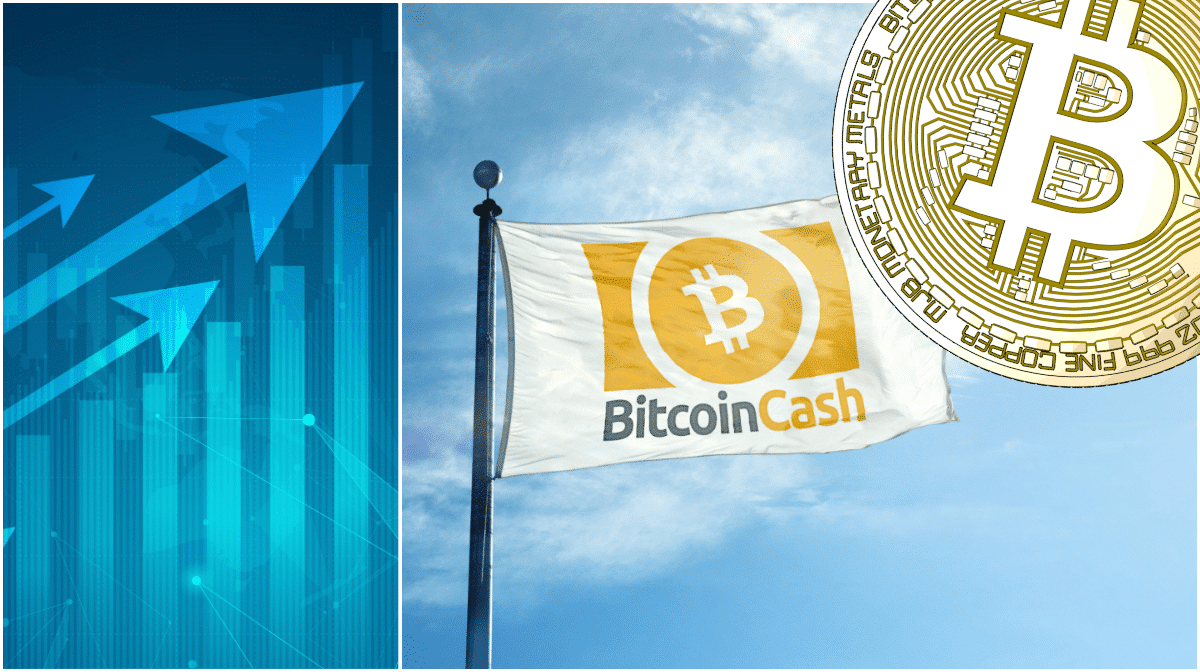 Kryptodygnet: Bitcoin cash rusar och bitcoin över 4 000 dollar igen.