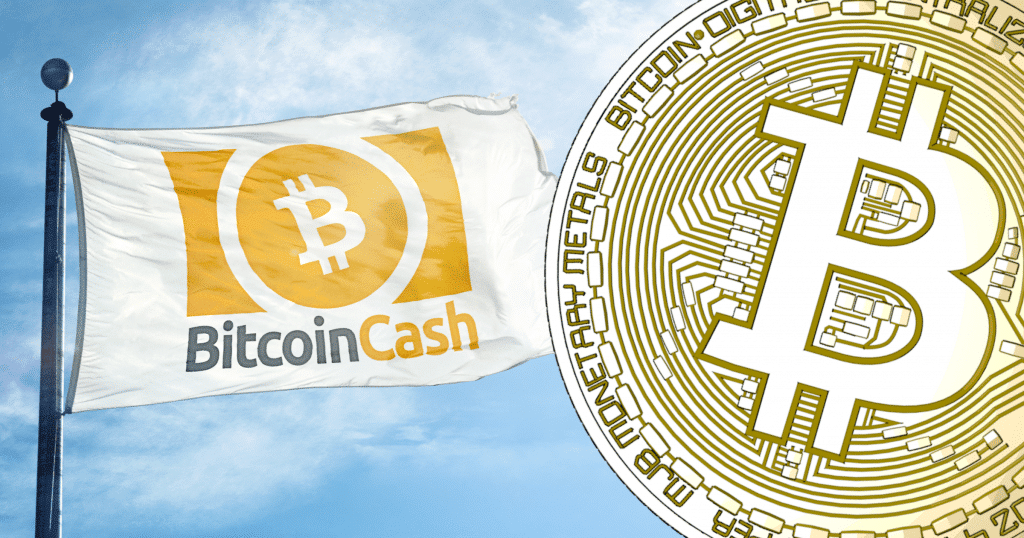 Bitcoin cash continues to rally – is now the world's fourth biggest cryptocurrency.