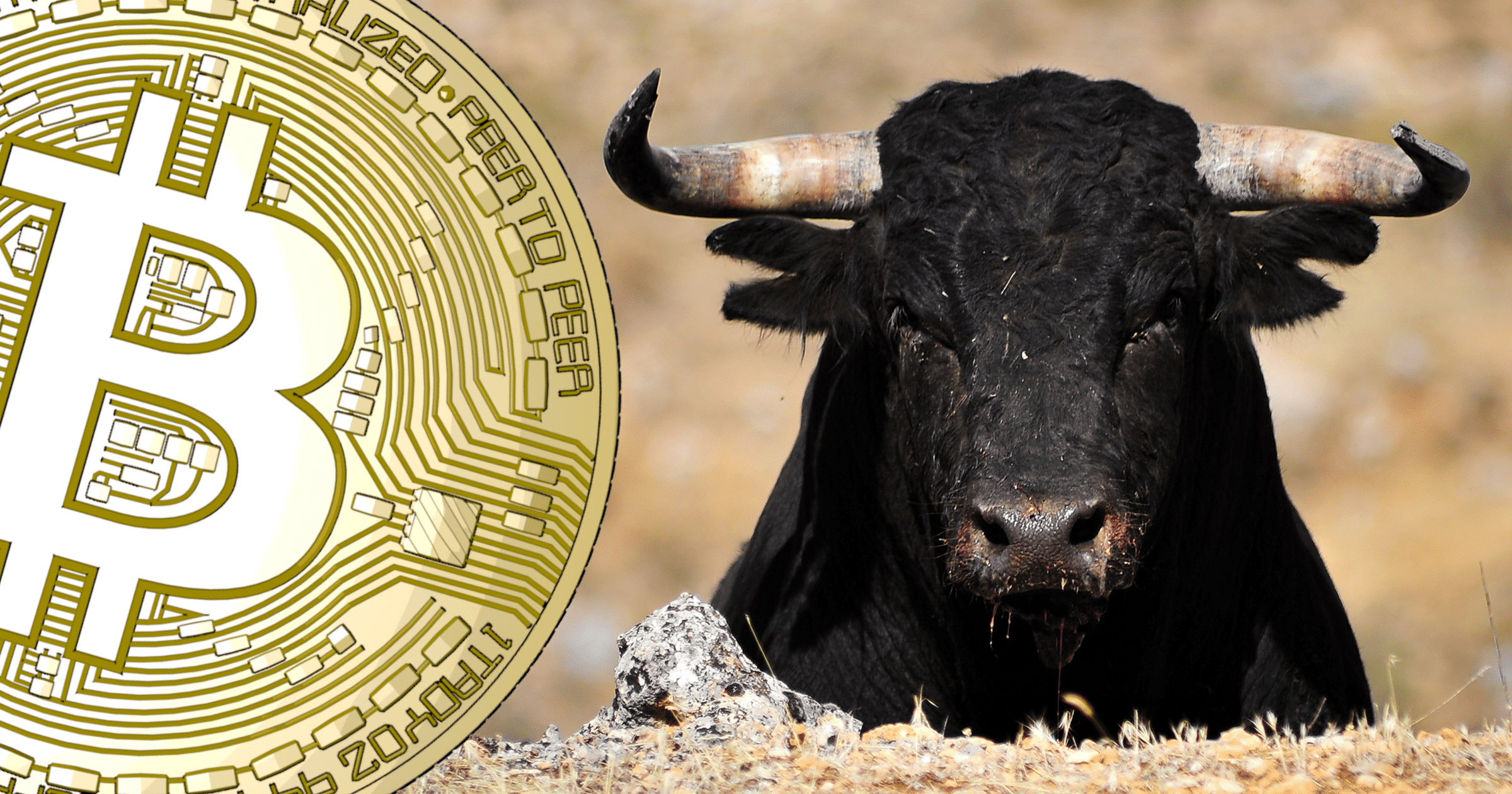 Marknadsvärdet för alla kryptovalutor över 185 miljarder dollar – högsta nivån på fem månader.