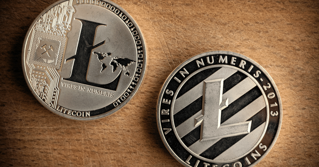 Litecoin is expected to be among the highest performing cryptocurrencies: A "no brainer".