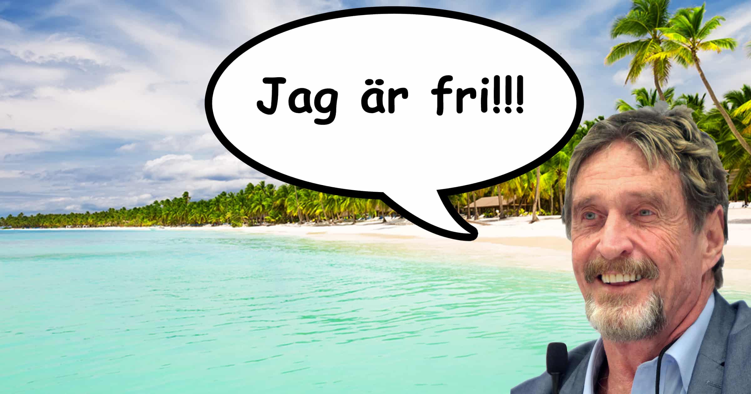 Kryptoprofilen John McAfee släppt – greps på en yacht full av vapen