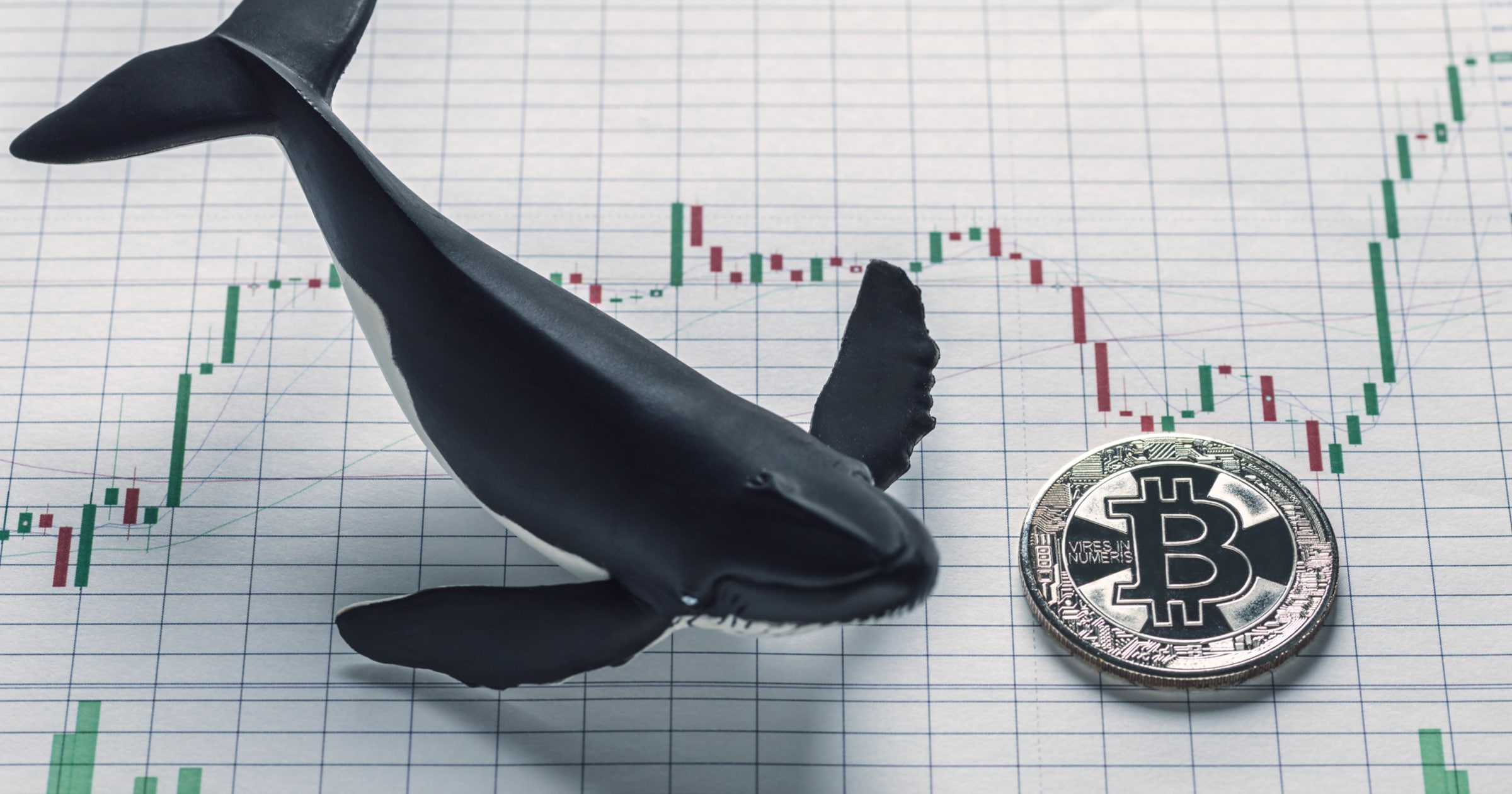 Analys visar: Bitcoins senaste krasch under 10 000 dollar var inte manipulation.