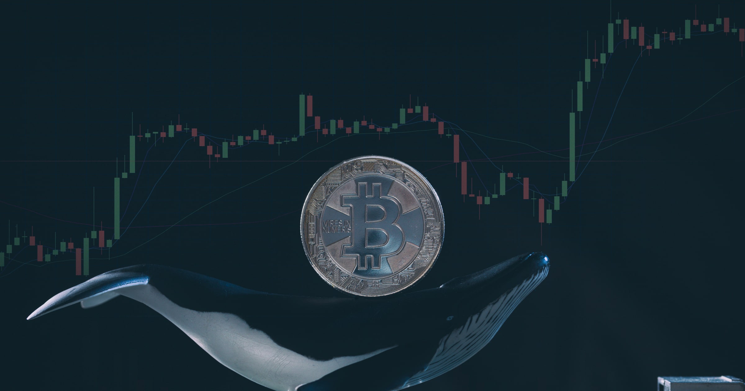 Forskningsrapport: Ensam spelare kan ha legat bakom bitcoins superrusning 2017.
