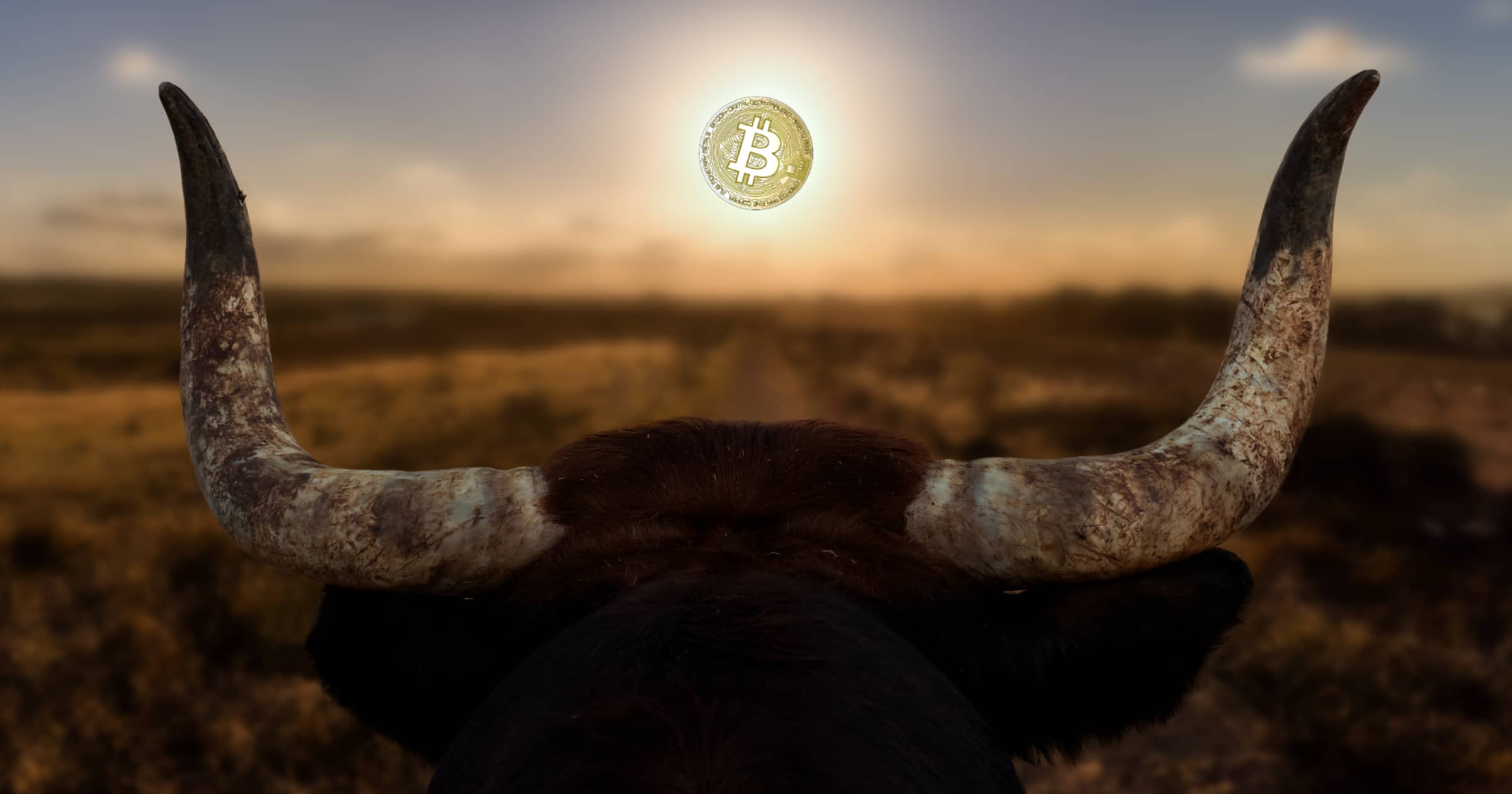 4 möjliga orsaker till att bitcoinpriset krossade 10 000-dollarsgränsen.