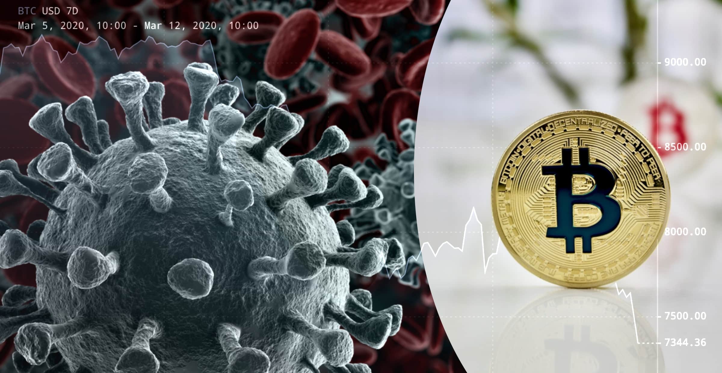 Kryptoexpert om bitcoinprisets störtdyk: Kan vara läge att köpa