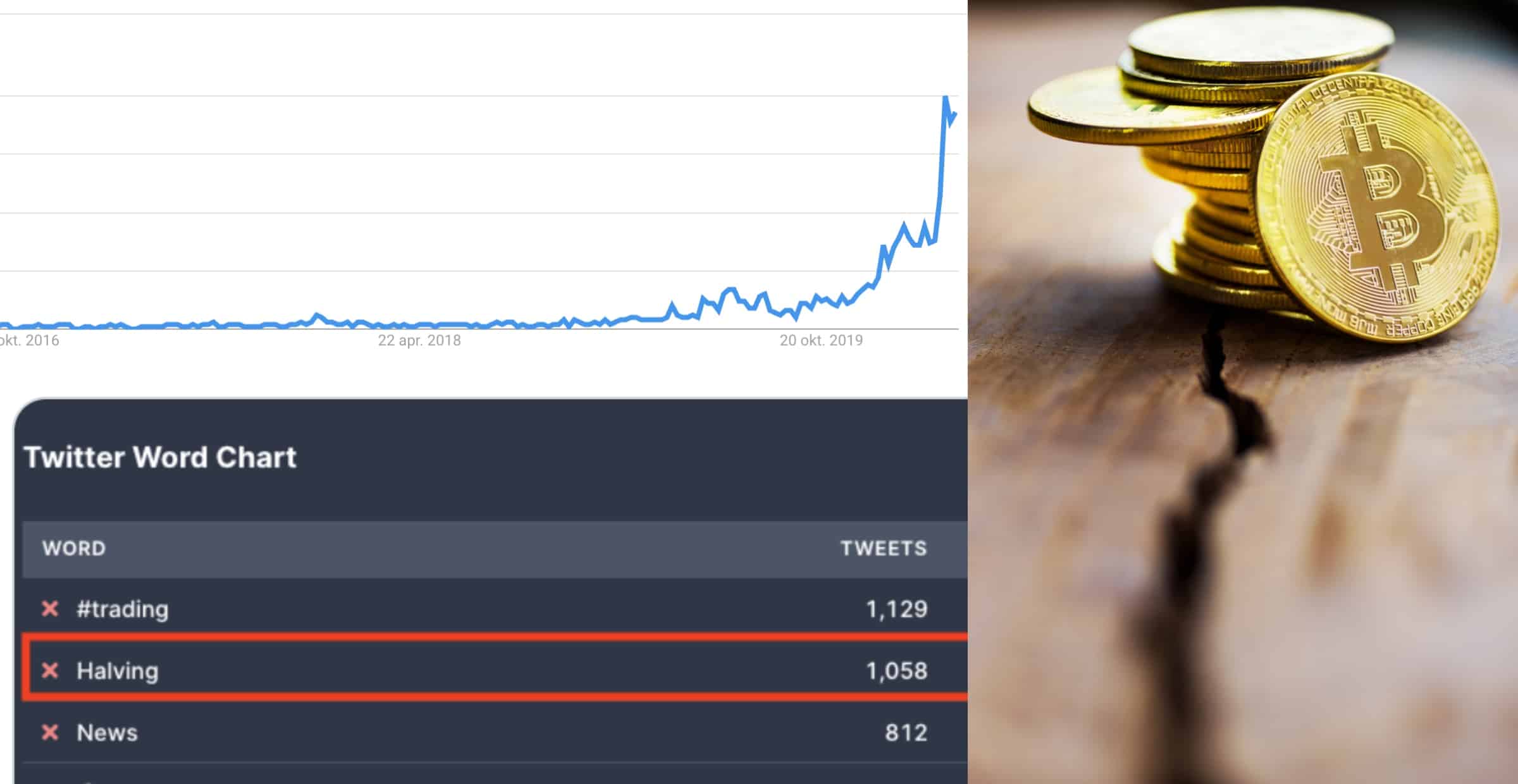 Antalet Googlesökningar efter bitcoins halvering når sin högsta nivå någonsin