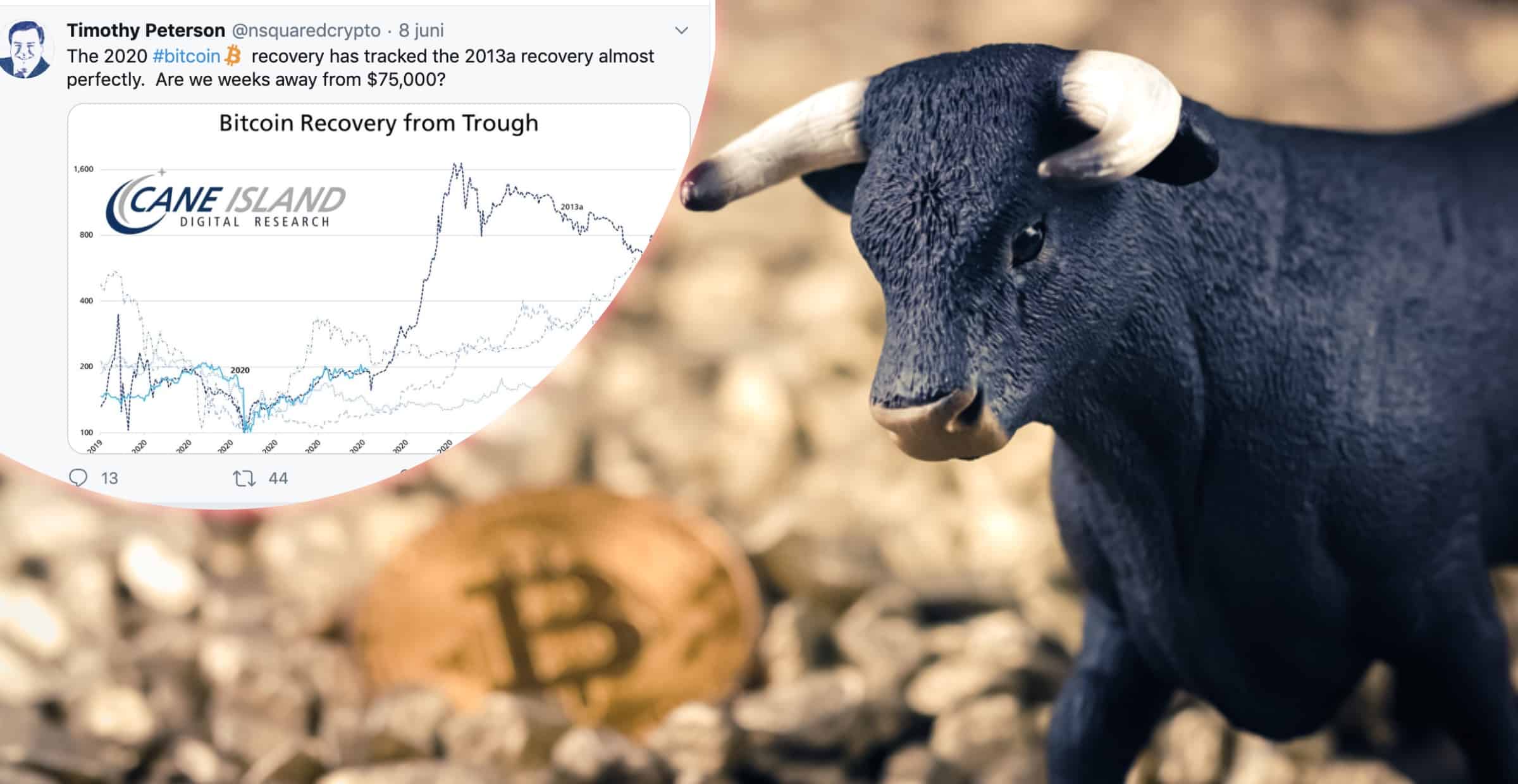 Analytiker: Så kan bitcoinpriset nå 75 000 dollar – om bara några veckor