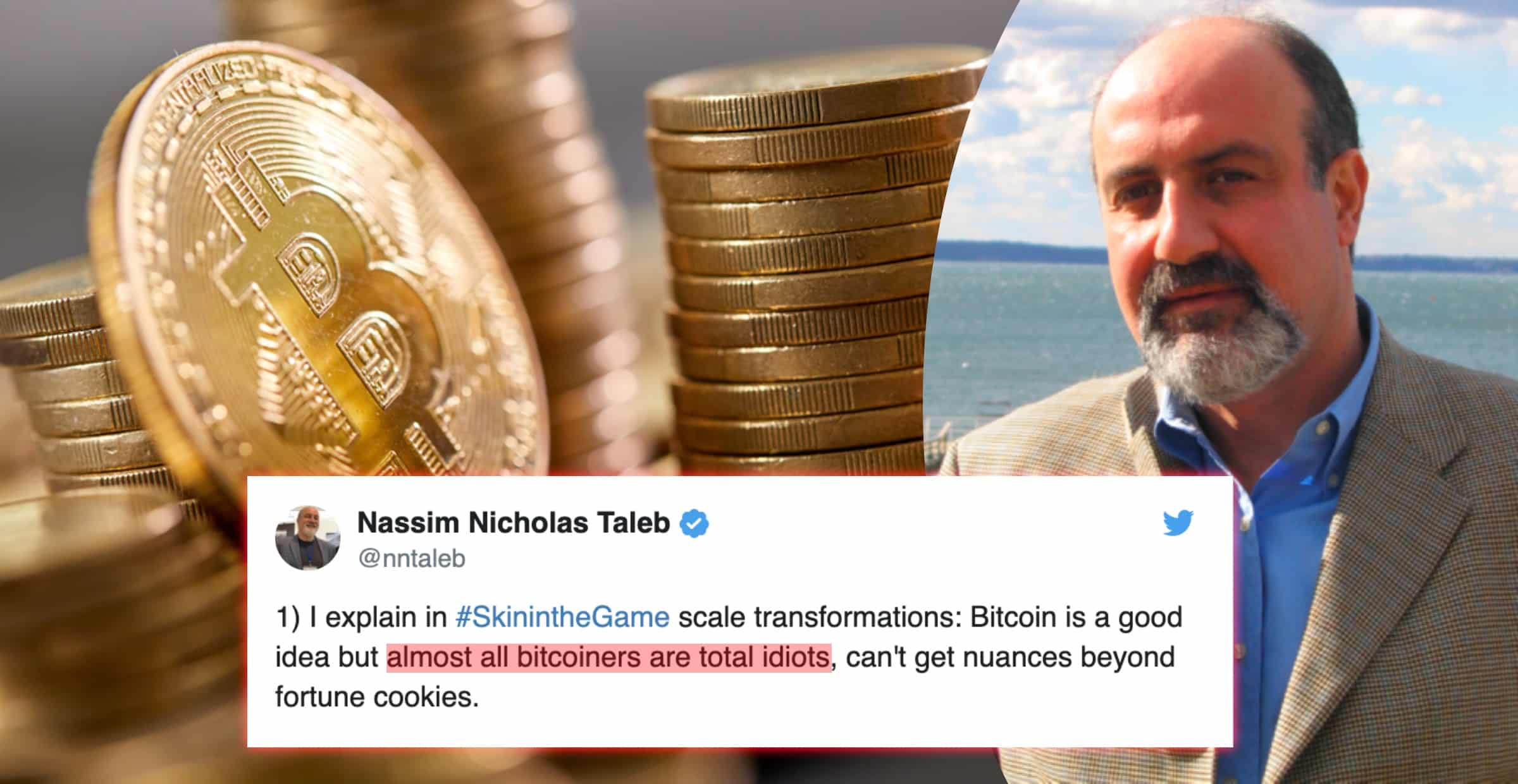 Känd författare: Nästan alla som håller på med bitcoin är idioter