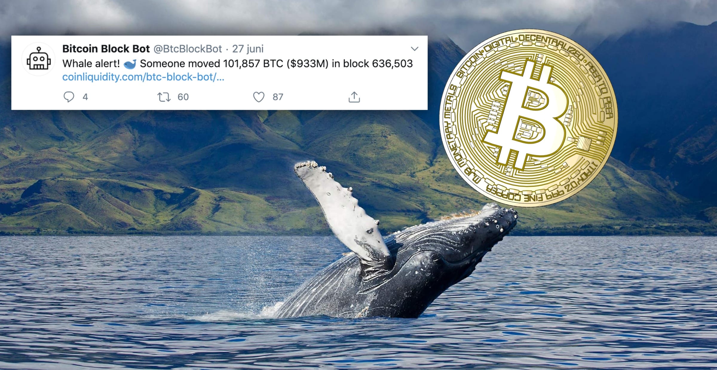 Mystisk val flyttade 87 miljarder i bitcoin – var största anonyma adressen