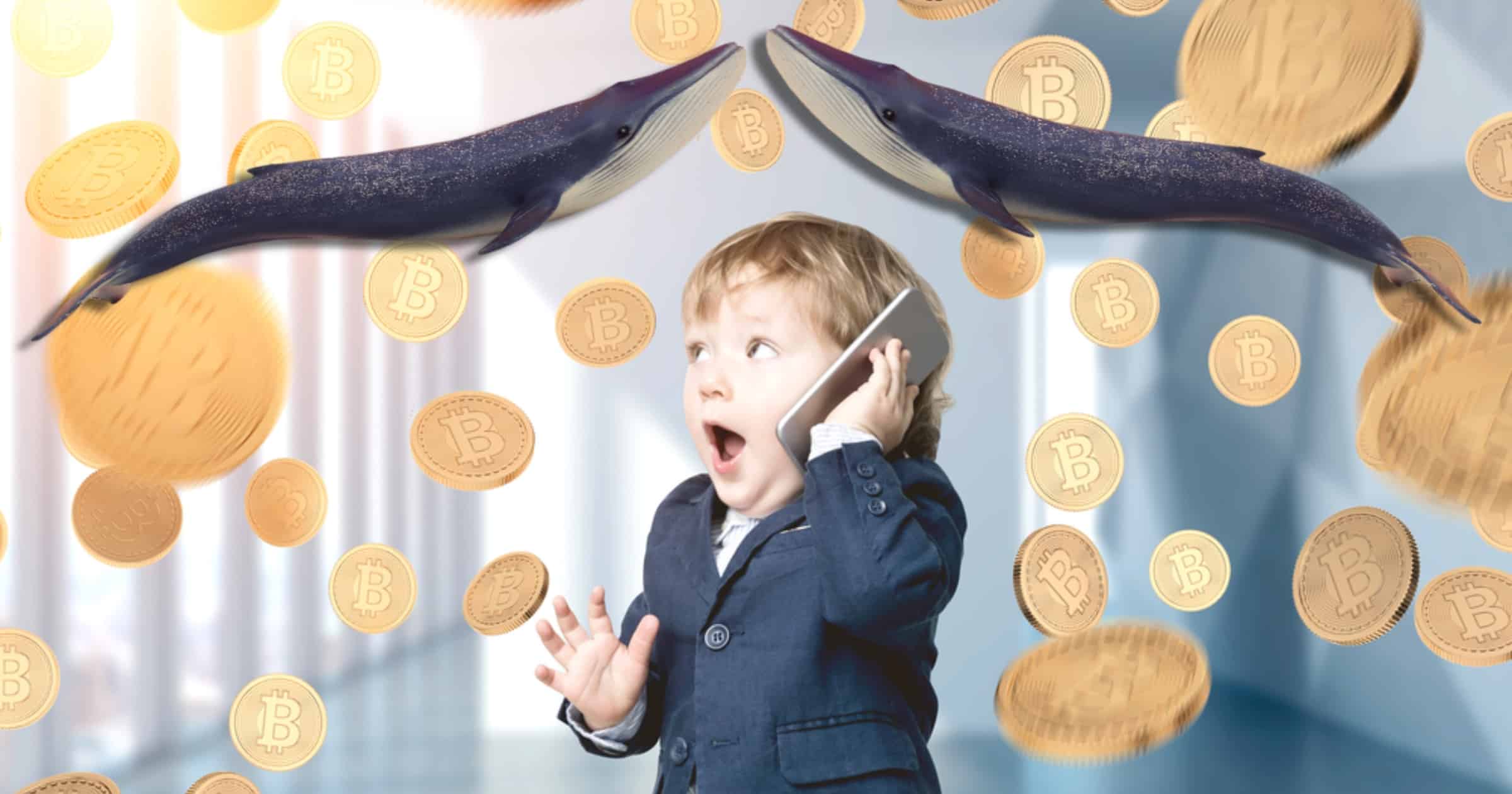Så dominerar "wholecoiners" och "valar" bitcoinmarknaden
