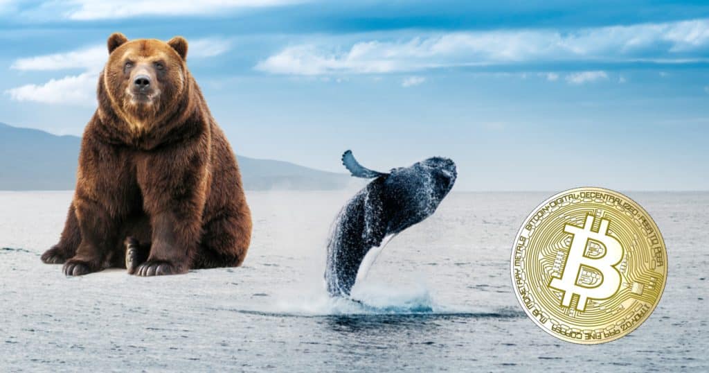Parabolic curve broken and "whale" makes huge sell-off – is the bitcoin price about to fall?