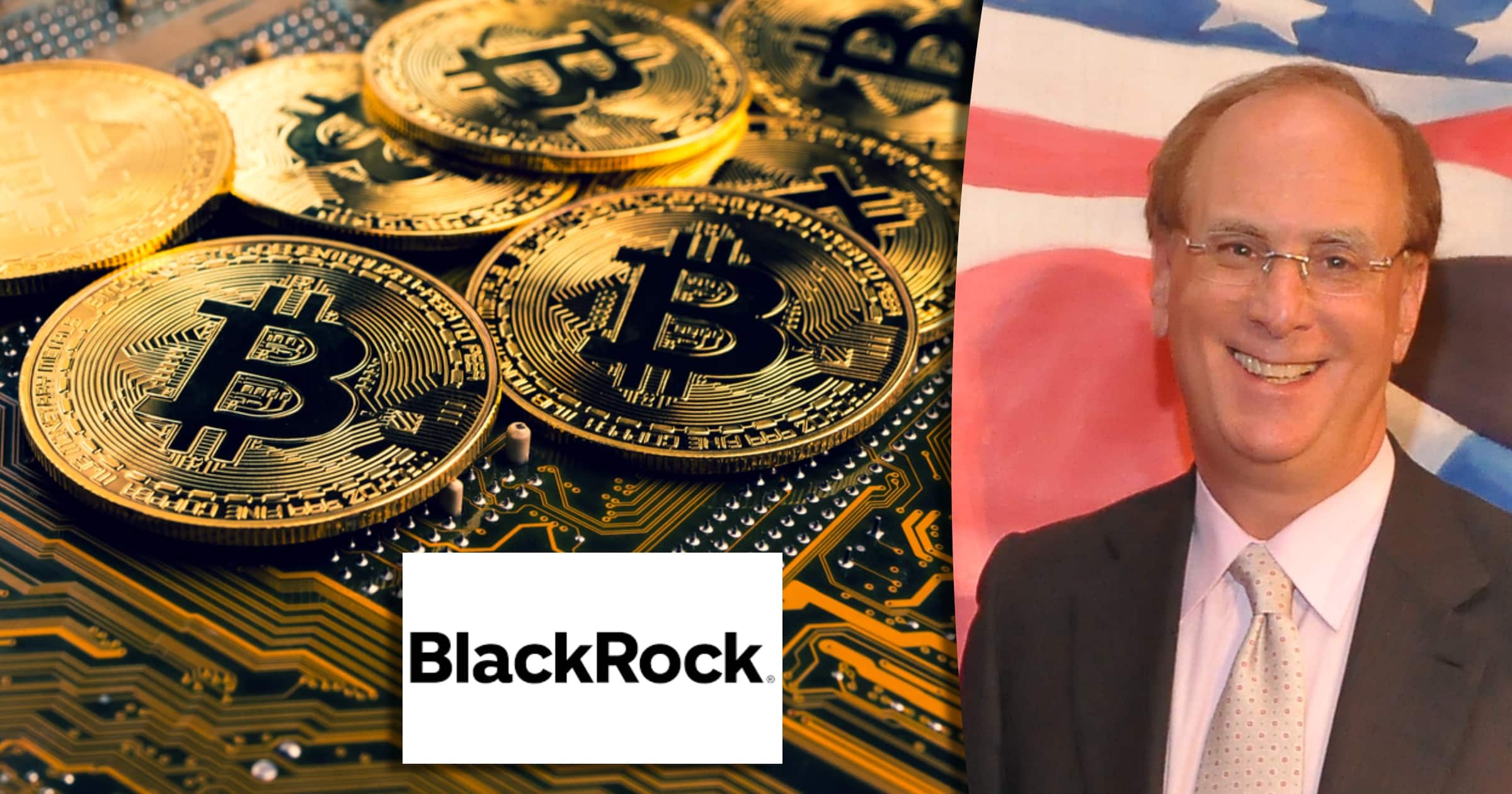 Black Rocks vd: Kryptovalutor kan bli stort – men ingen ersättning för fiatvalutor