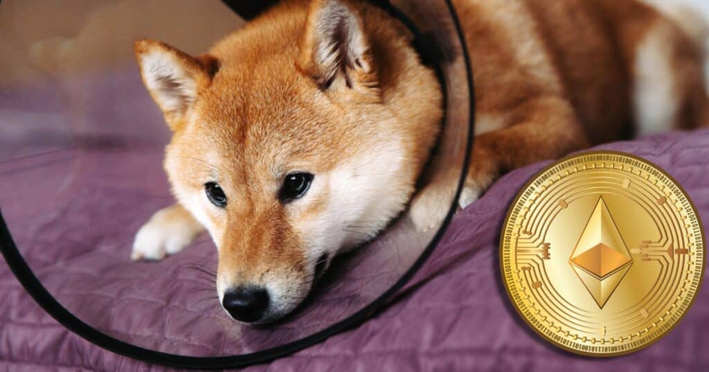 Dogecoin rasar efter Musk-framträdande – ethereum slår nytt prisrekord