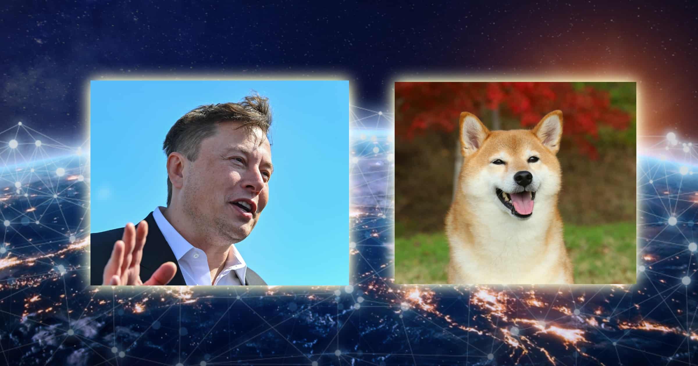 Efter dogecoin: Här är de nya meme-kryptovalutorna som rusar i pris