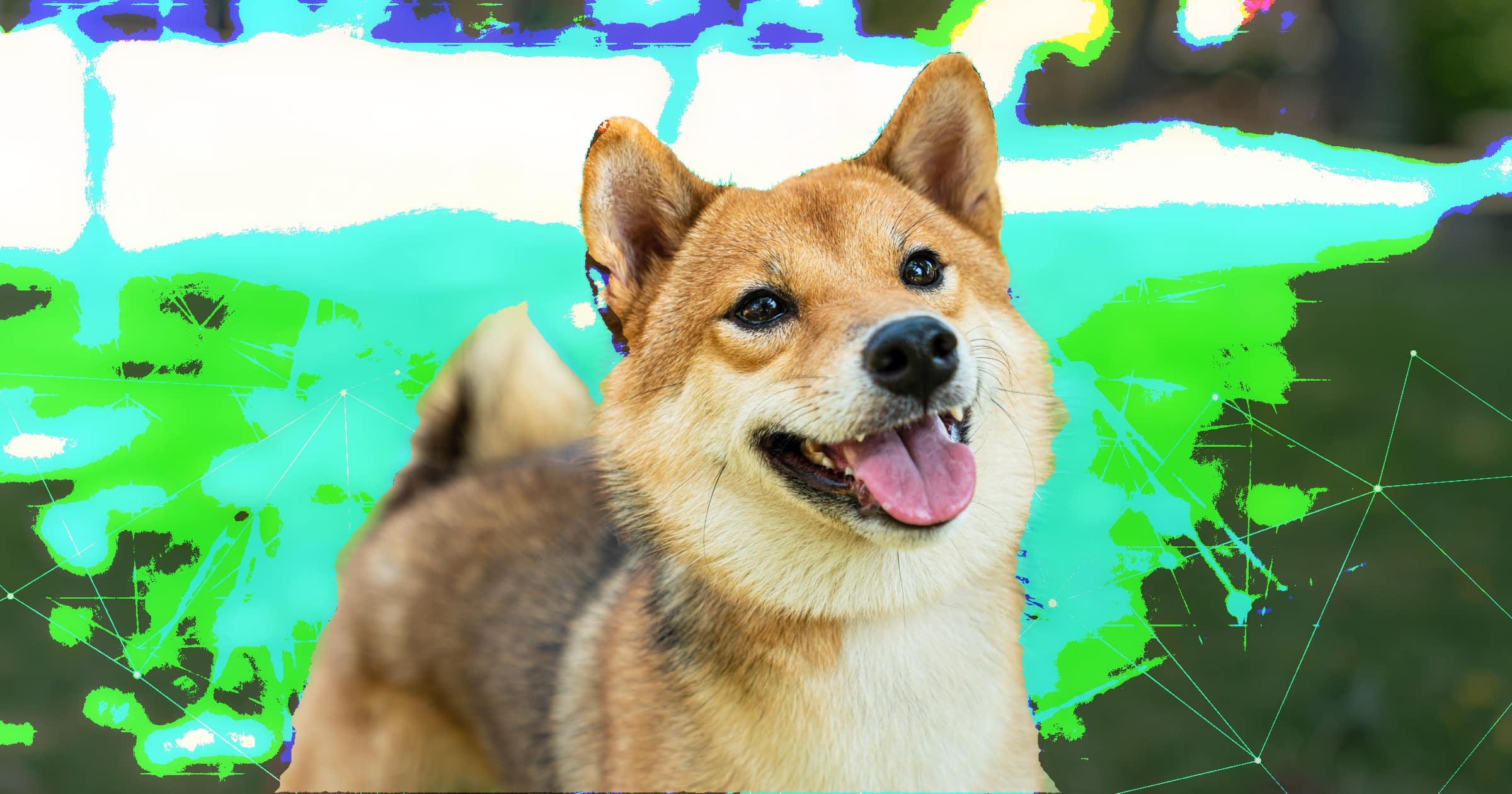 Shiba inu-priset faller efter att "världens bästa trader" delar upp sin förmögenhet