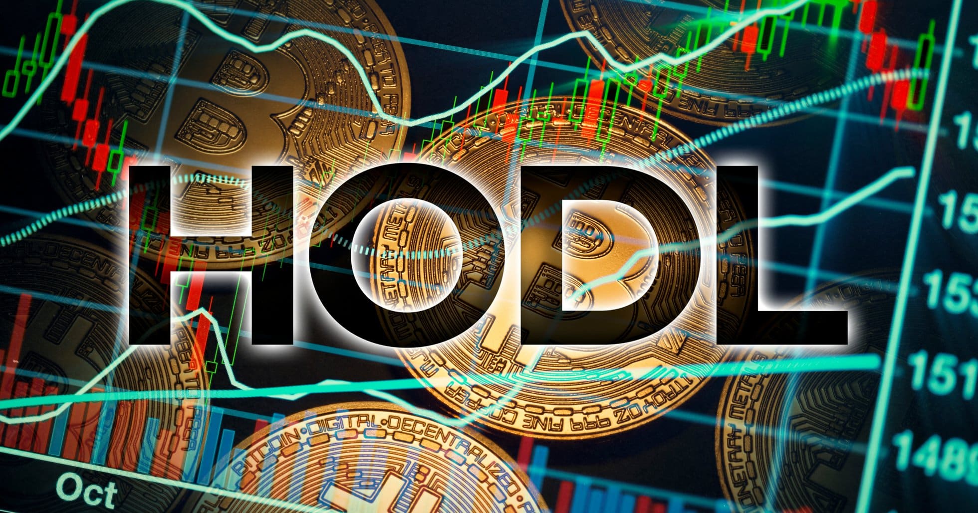 Undersökning visar: Majoritet av kryptoägare skulle “hodla” vid priskrasch
