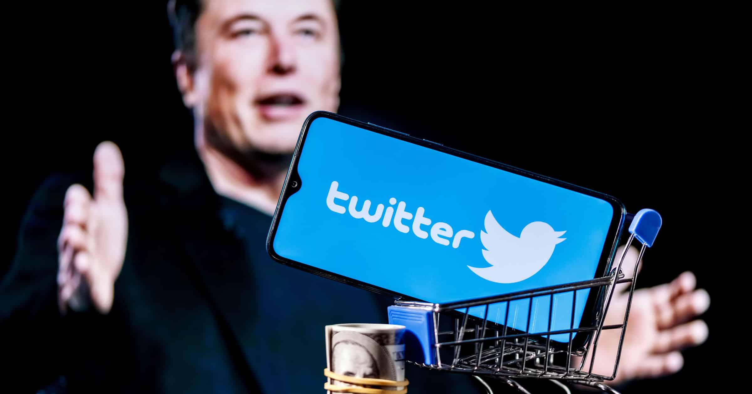 Kryptospekulationen: Den verkliga anledningen till Elon Musks köp av Twitter.
