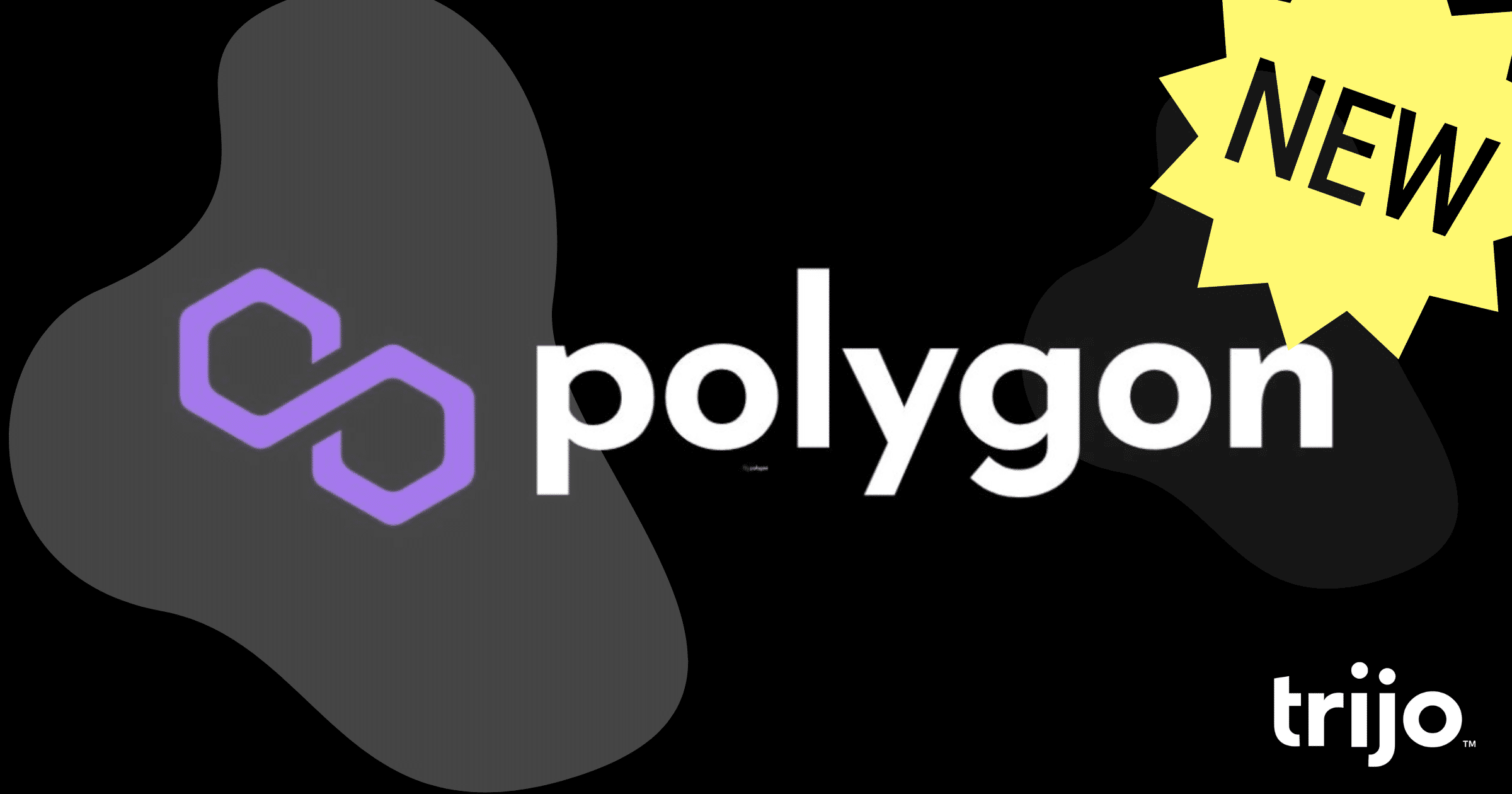 Sveriges enda kryptobörs har i dagarna lanserat handel i kryptovalutan polygon.