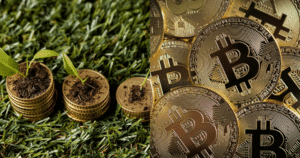 bitcoin sustainability